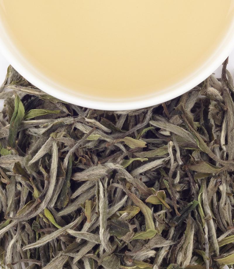 King of Bai Mudan -   - Harney & Sons Fine Teas