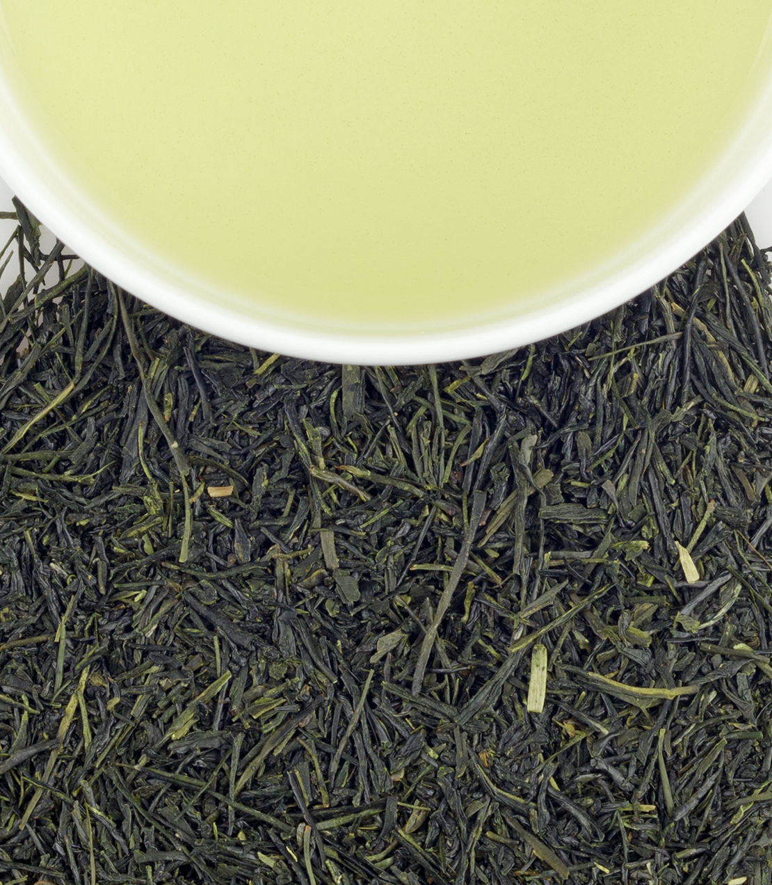 Organic Sencha -   - Harney & Sons Fine Teas